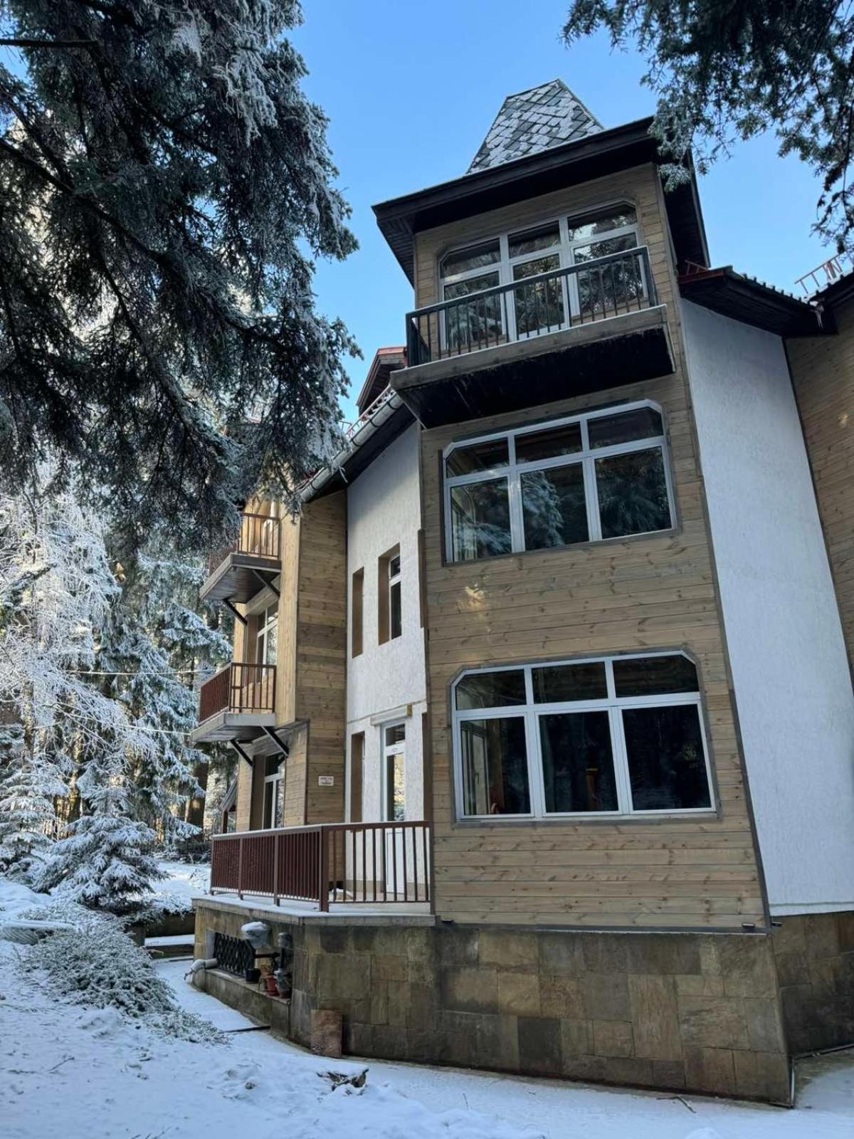 The Forest Villa Borovets Dış mekan fotoğraf