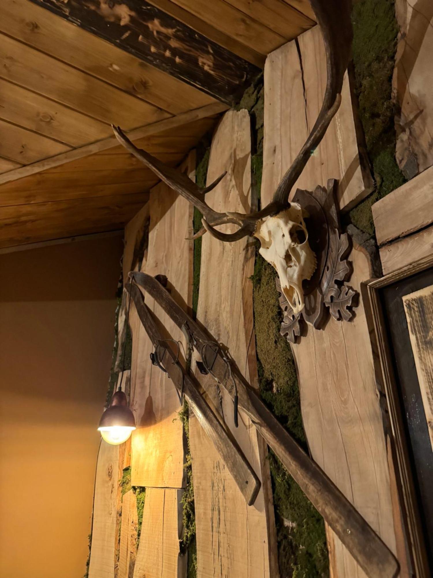 The Forest Villa Borovets Dış mekan fotoğraf