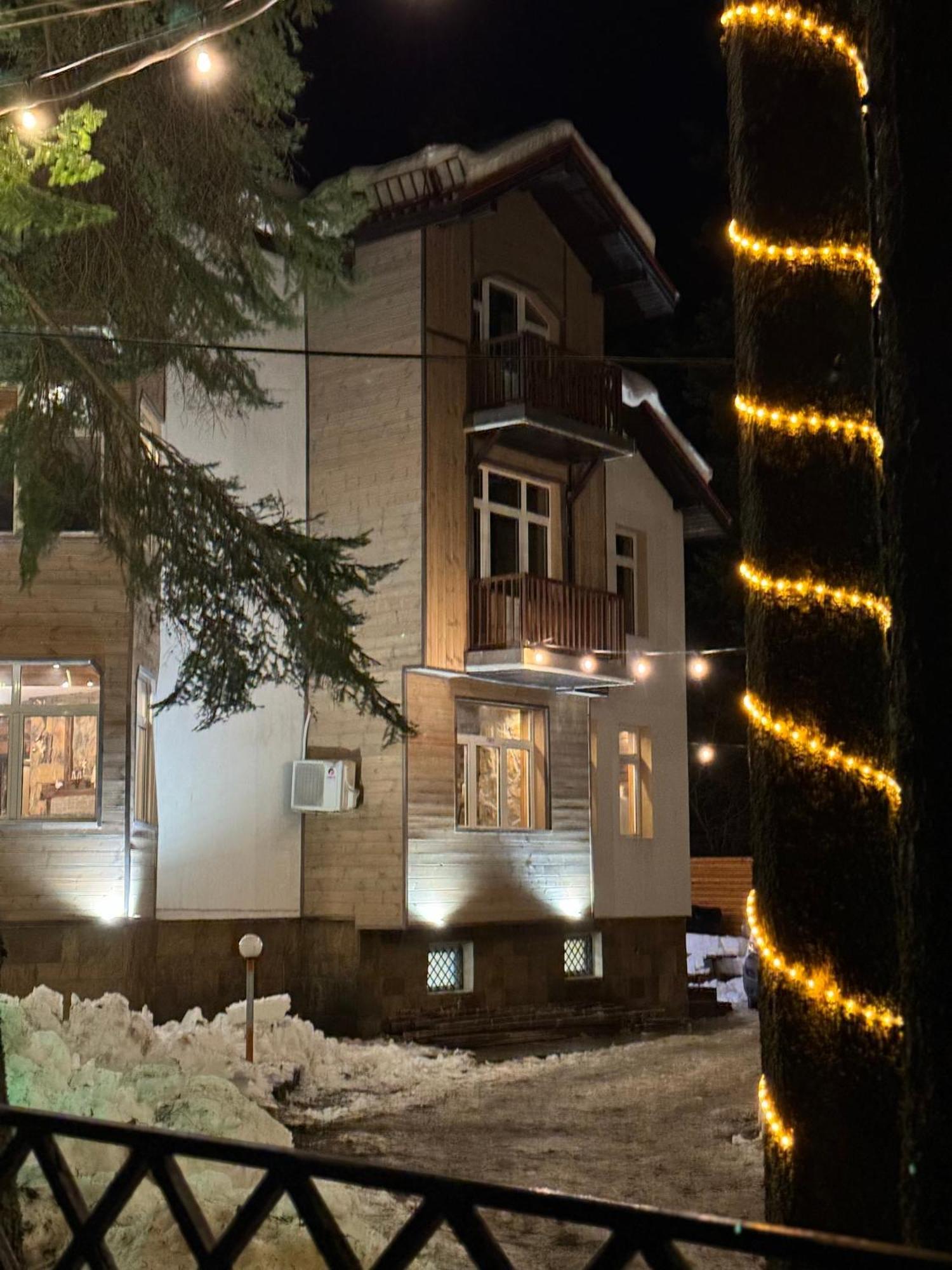 The Forest Villa Borovets Dış mekan fotoğraf