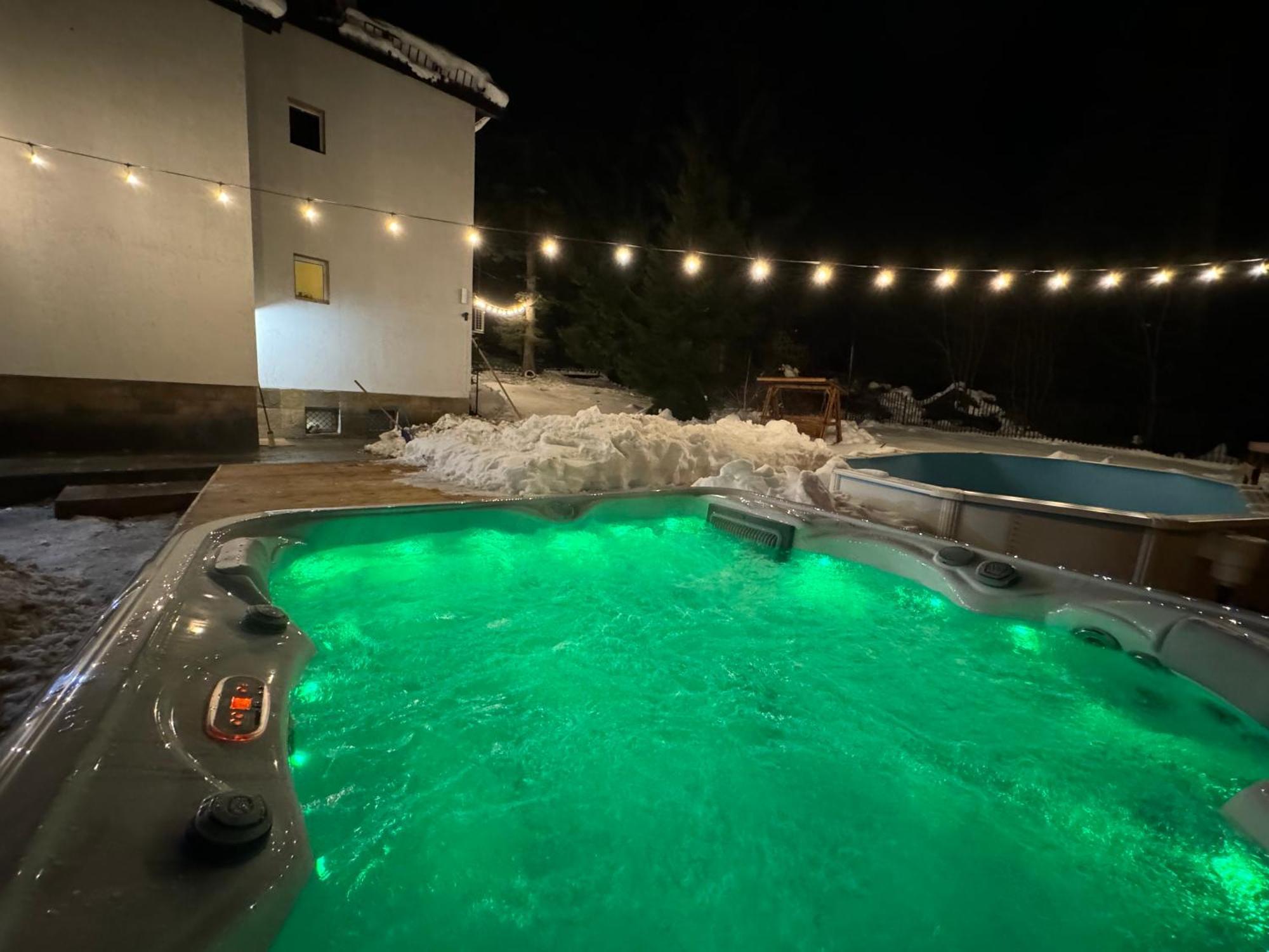 The Forest Villa Borovets Dış mekan fotoğraf