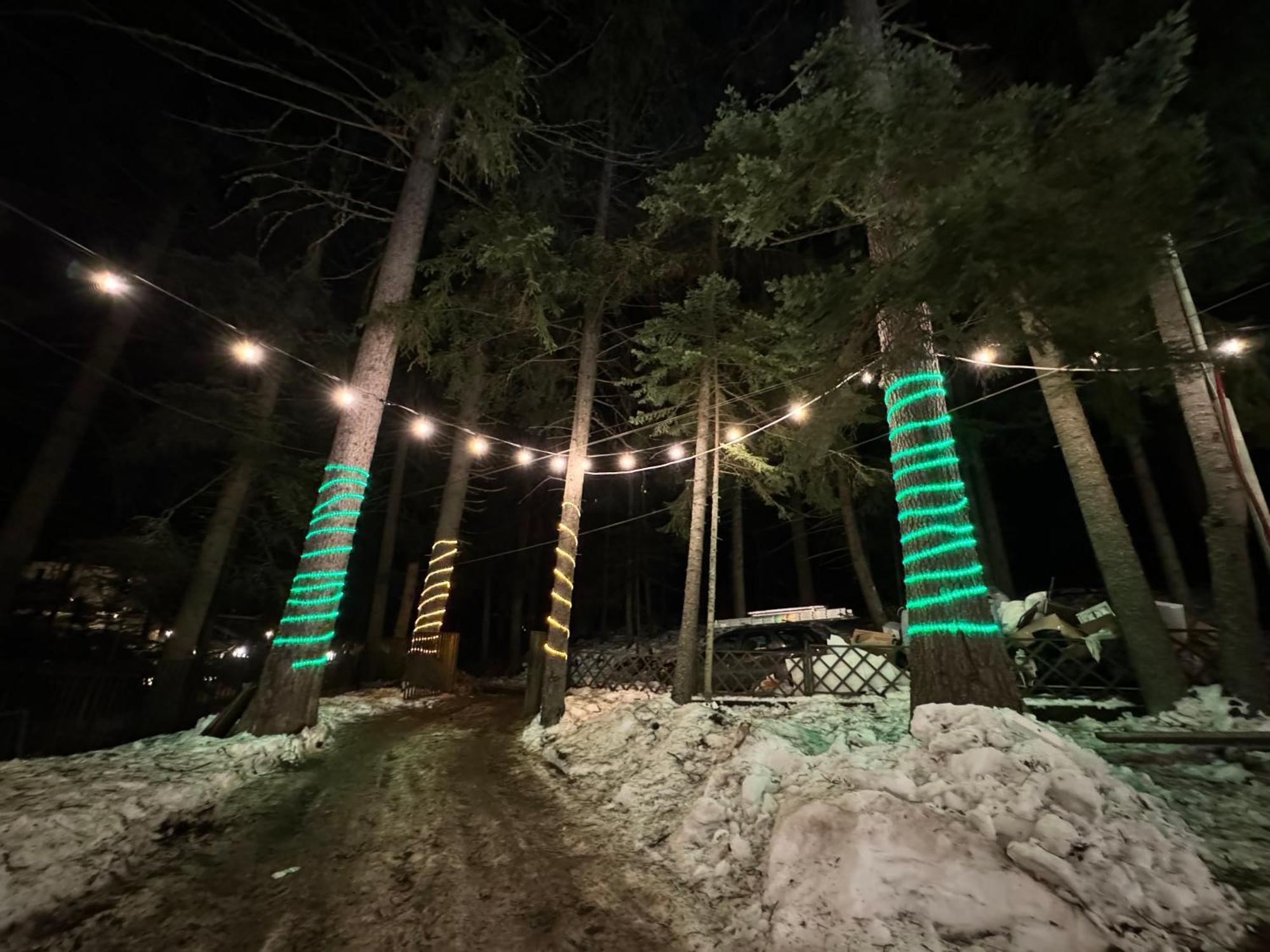 The Forest Villa Borovets Dış mekan fotoğraf