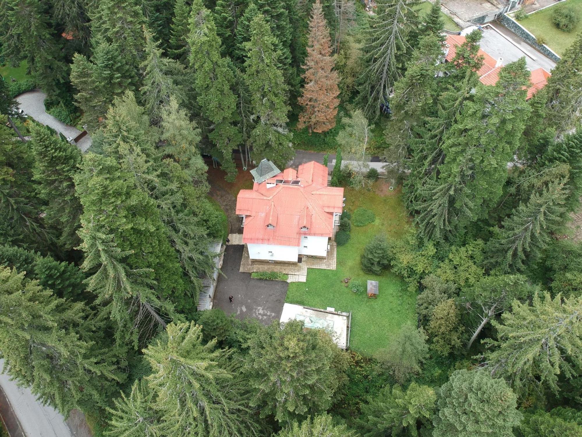 The Forest Villa Borovets Dış mekan fotoğraf