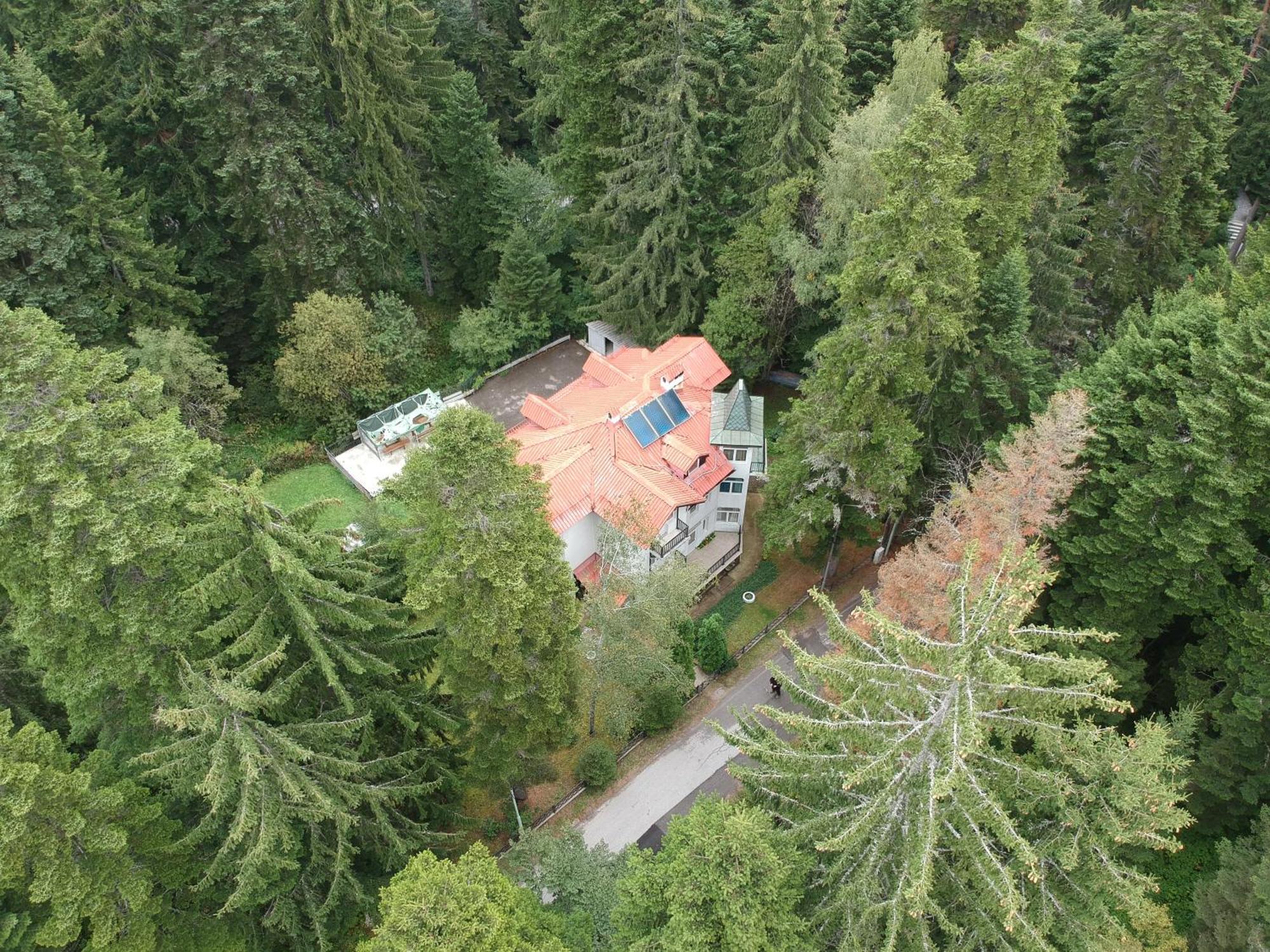 The Forest Villa Borovets Dış mekan fotoğraf