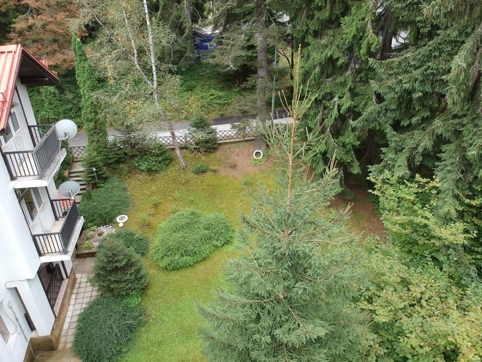 The Forest Villa Borovets Dış mekan fotoğraf