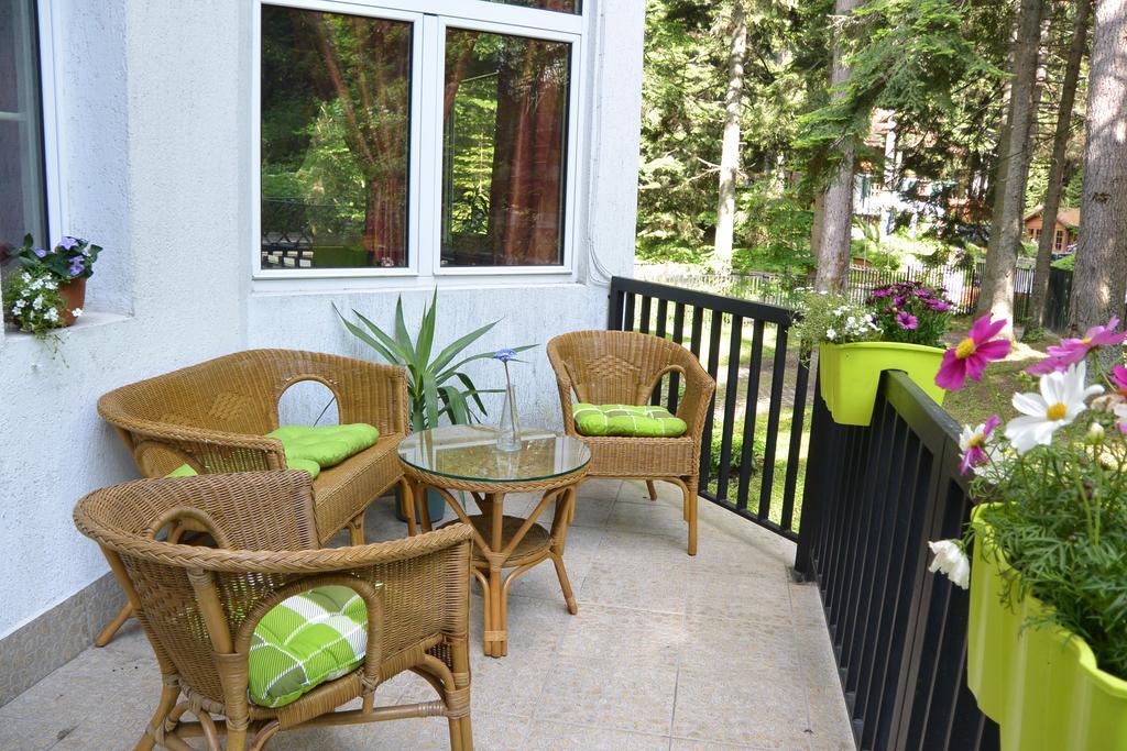 The Forest Villa Borovets Dış mekan fotoğraf